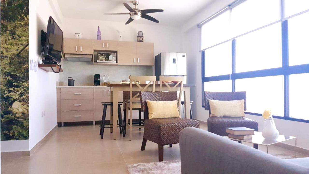 פלאייה דל כרמן Nice And Centric Apartment מראה חיצוני תמונה